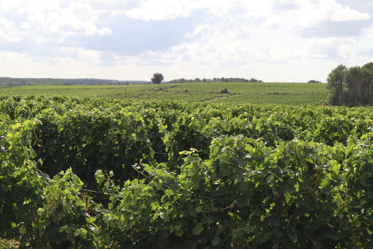 Domaine Des Tilleuls Val-de-Livenne Esterno foto